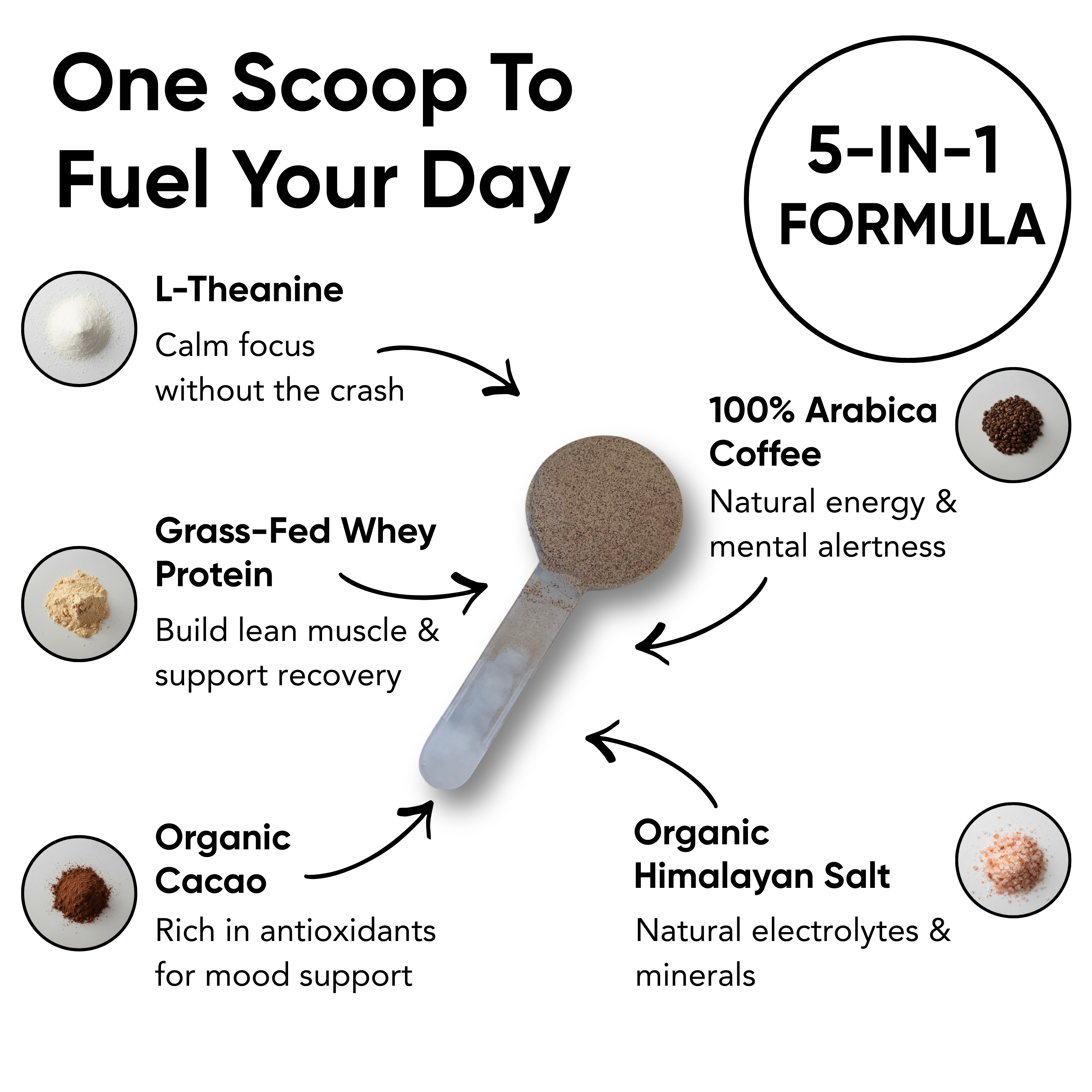 Mocha Latte Protein Iced Coffee